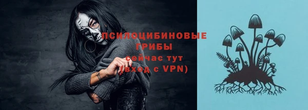 мяу мяу мука Козельск
