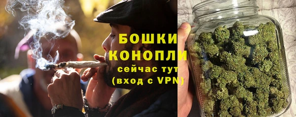 спиды Лагань